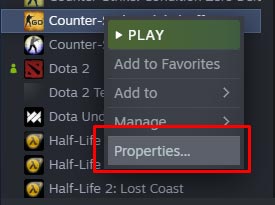 CS GO launch properties