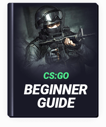 CS GO Beginner Guide