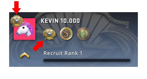 CS GO Profile Service Medal