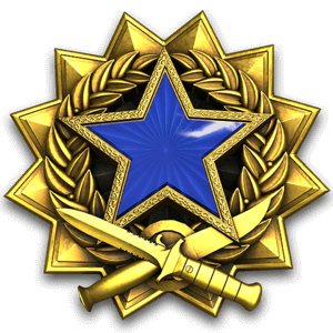 CS GO Service Medal