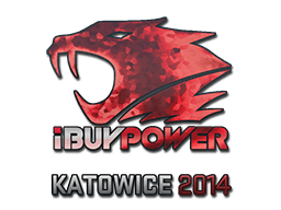 Expensive CS GO Sticker IBuyPower Katowice 2014