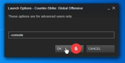 How to use Launch Commands in CS GO