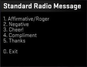 CSGO Standard Radio Messages