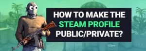 Quick Guide: How to Change your Steam Profile Privacy?