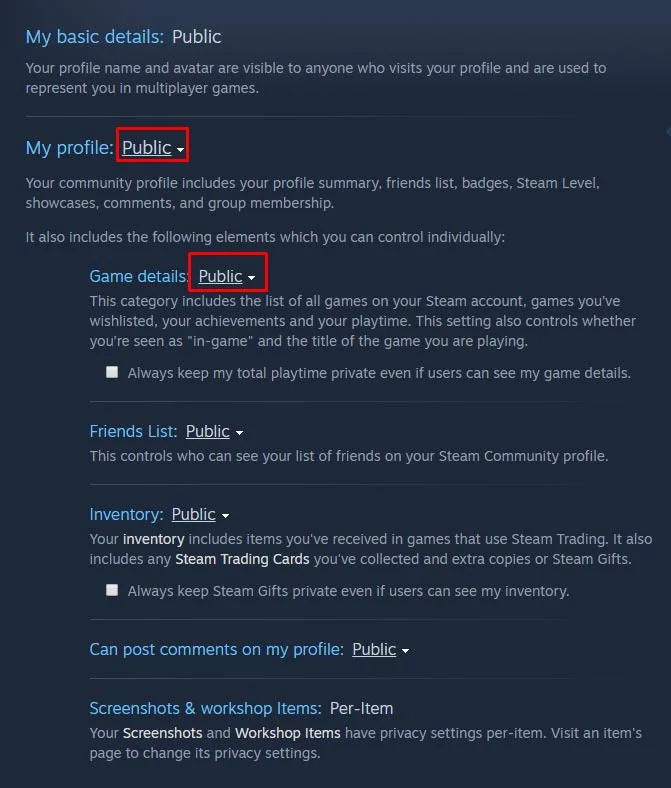 Make Steam Profile Public