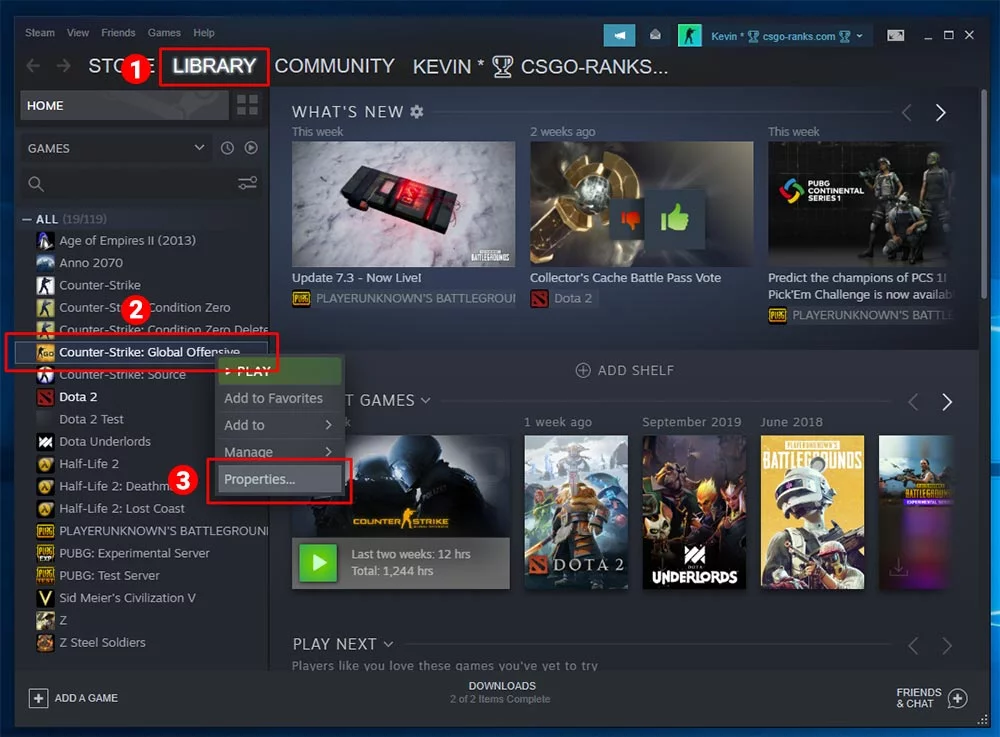 Steam Library Game Properties