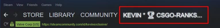 Steam Profile Menu