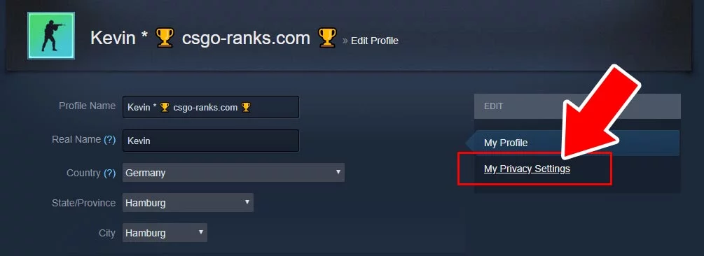 Steam Profile Privacy Settings